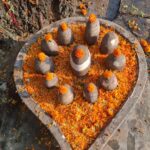 shivji bhole