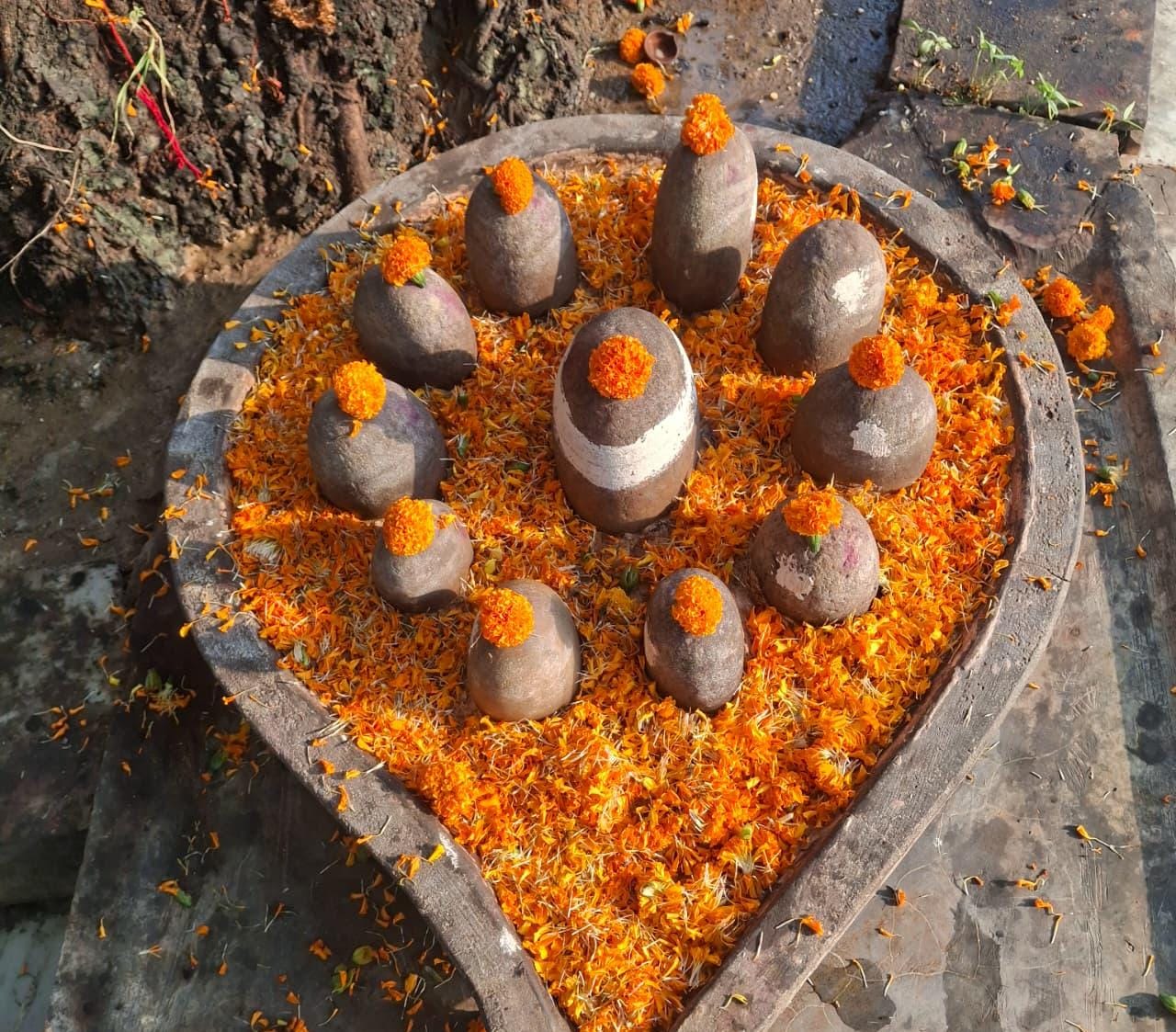 shivji bhole